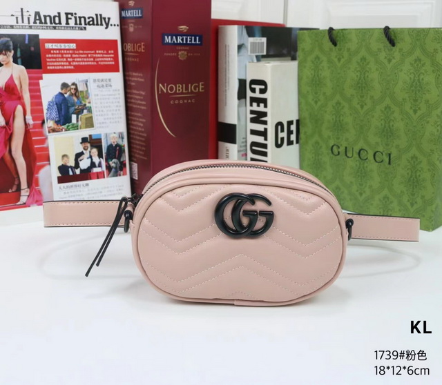 GUCCl Handbags 224